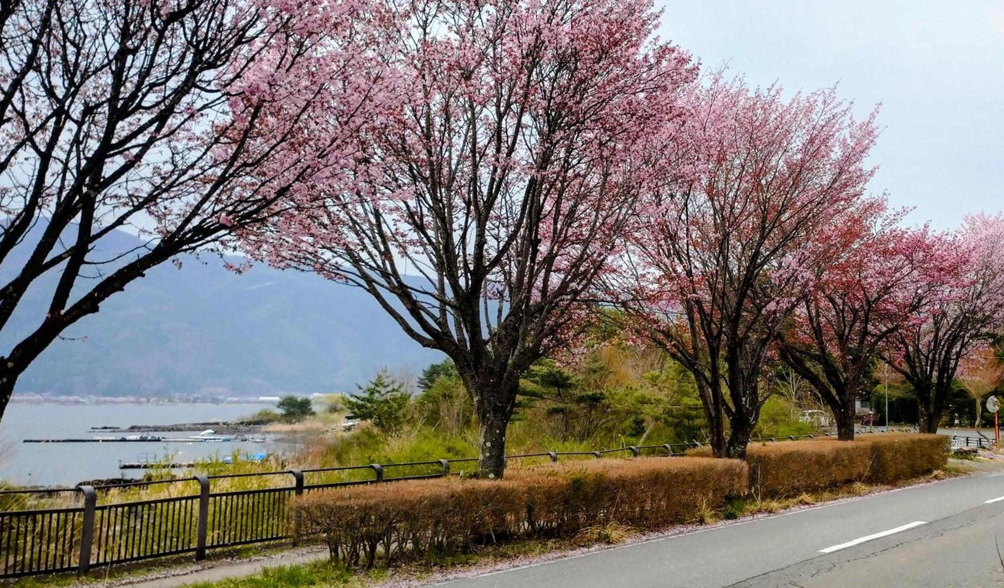 Nishimiyasou Fujikawaguchiko Exterior foto