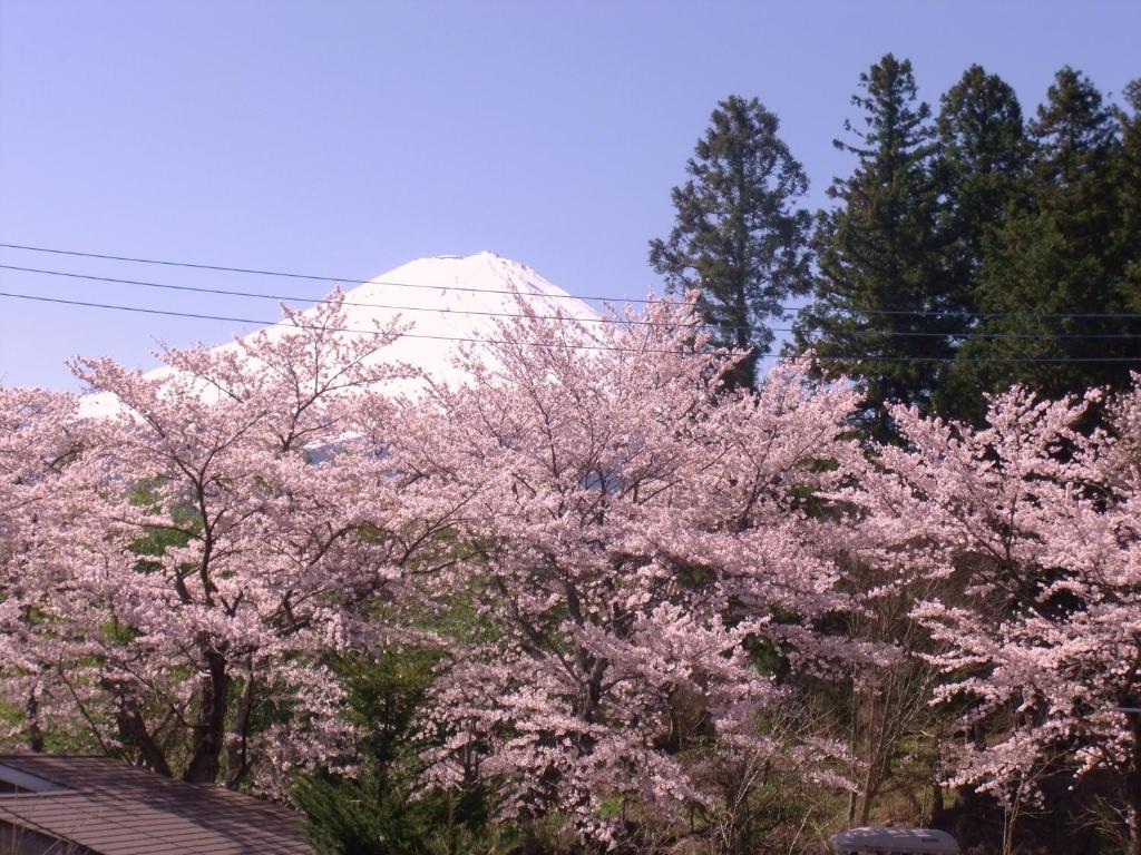 Nishimiyasou Fujikawaguchiko Exterior foto